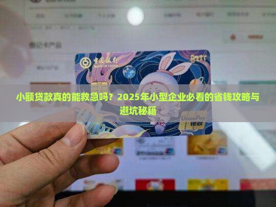 小额贷款与小型企业