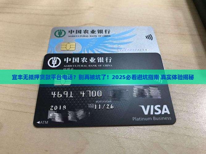 宜丰无抵押贷款平台电话