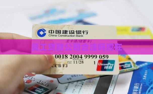 员工小额贷款合法吗现在