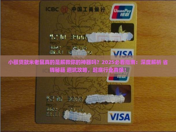 小额贷款米老鼠