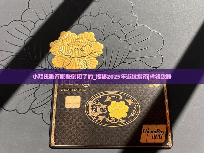 小额贷款有哪些倒闭了的