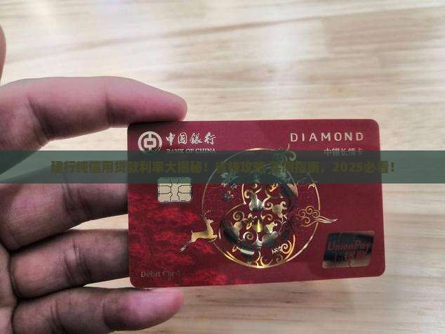 建行纯信用贷款利率