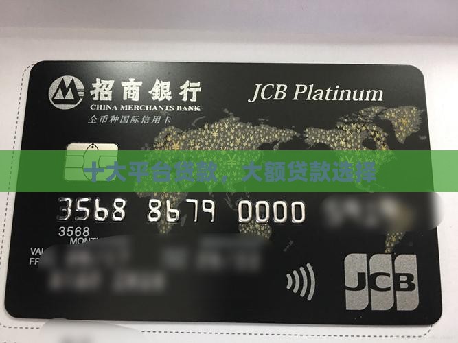 哪些是大平台贷款的