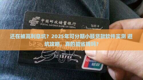 可分期的小额贷款软件