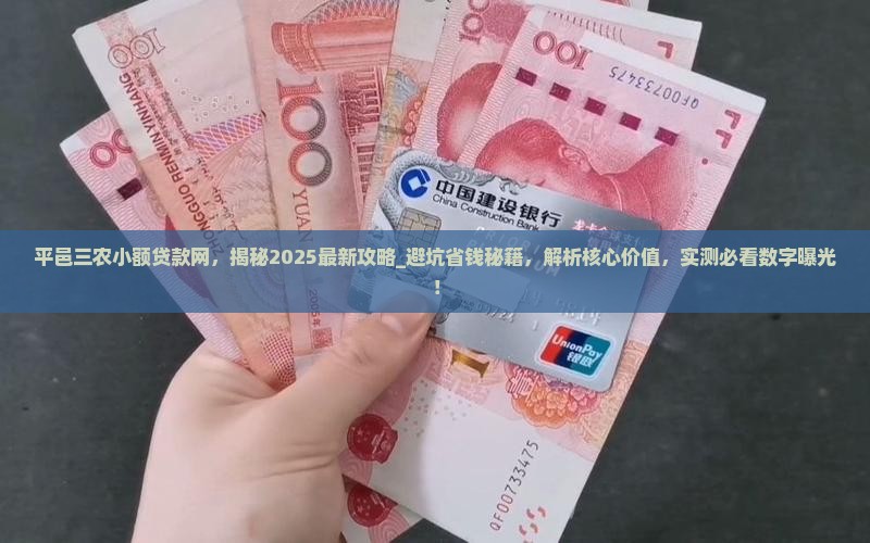 平邑三农小额贷款网