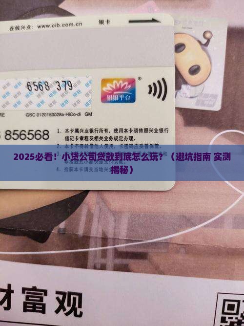 小贷公司贷款定义是什么 小贷公司贷款定义是什么