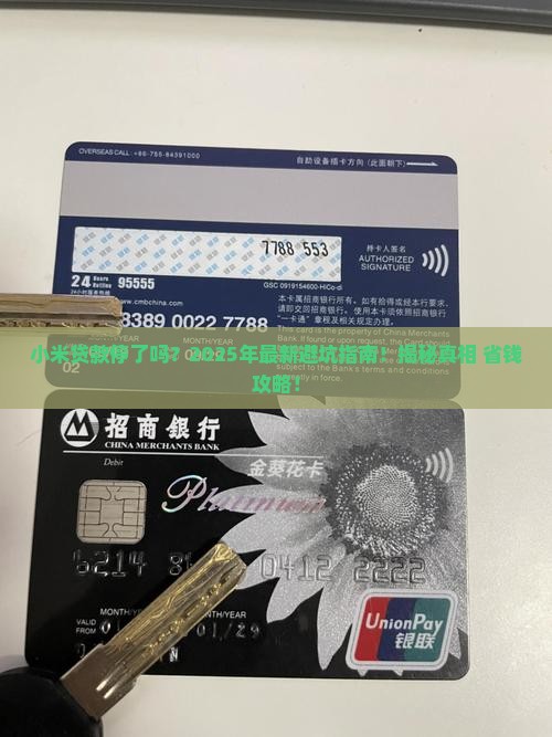 小米贷款停了吗