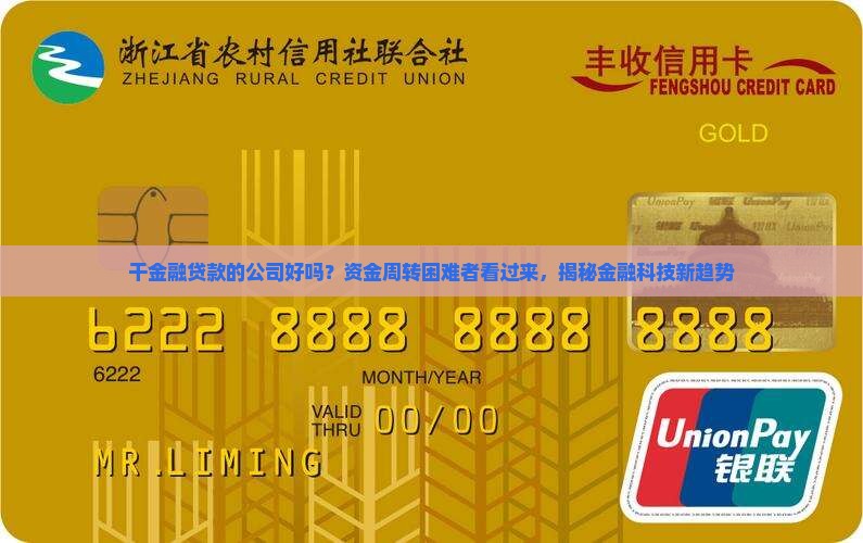 干金融贷款的公司好吗