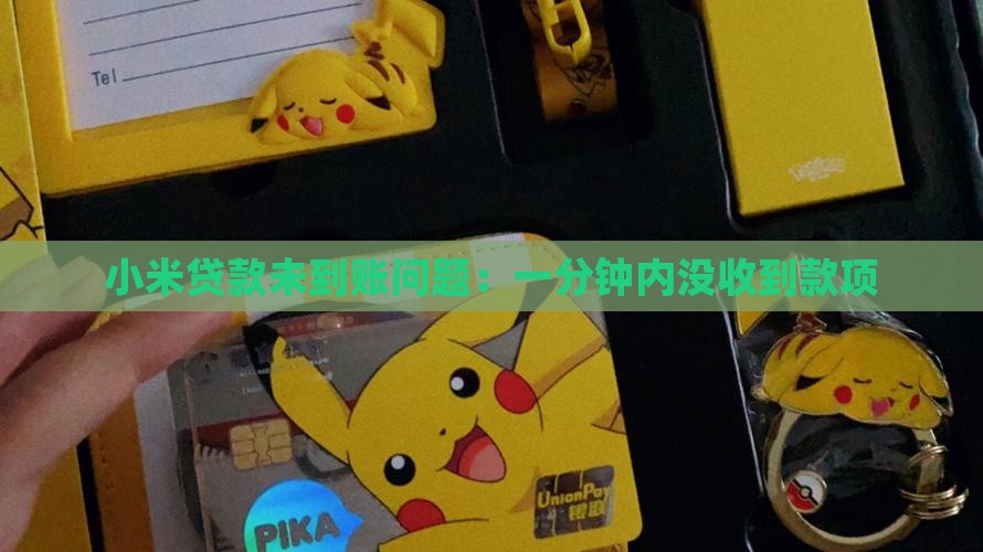 小米贷款一分钟内没到账