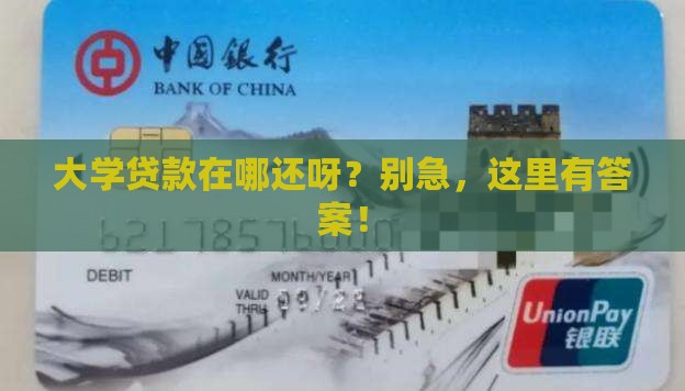 大学贷款在哪个银行还