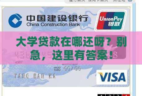大学贷款在哪个银行还