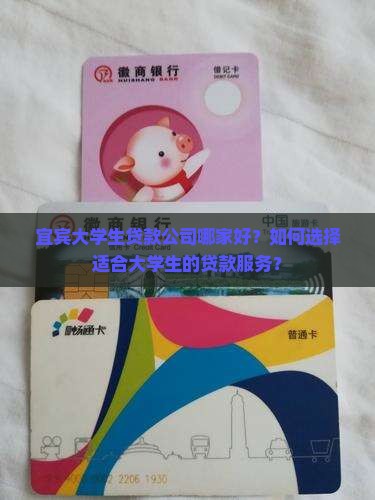 宜宾贷款推荐大学公司