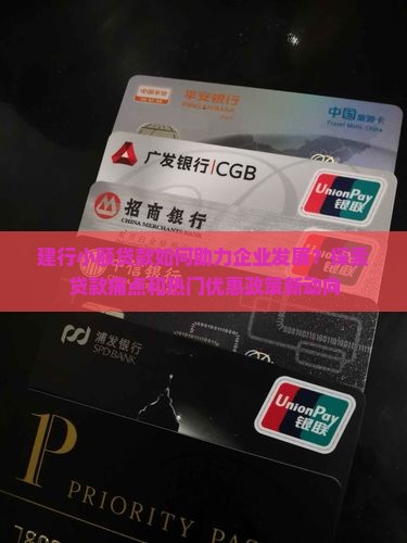 建行小额贷款企业