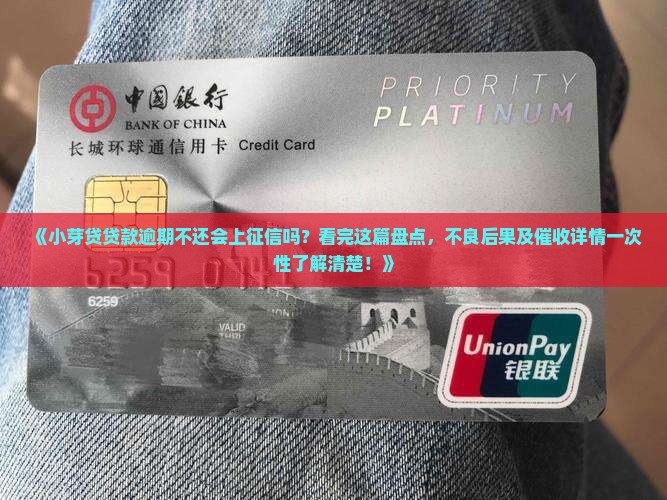 小芽贷贷款上征信吗