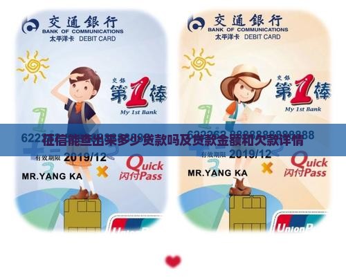 征信能查出来多少贷款吗