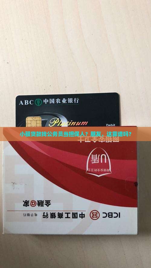 小额贷款公务员担保人