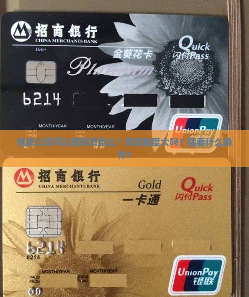 包皮公司可以借到贷款么