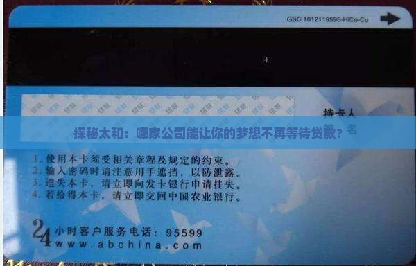 太和可以贷款的公司