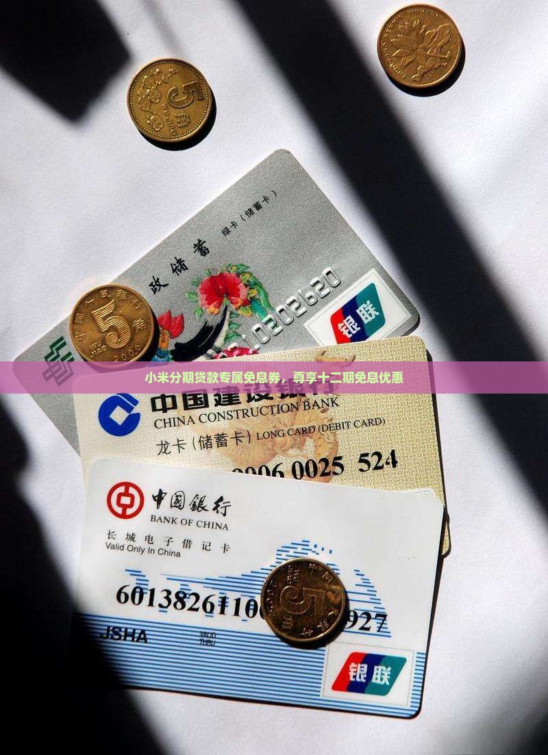 小米贷款十二期免息券