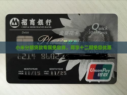 小米贷款十二期免息券