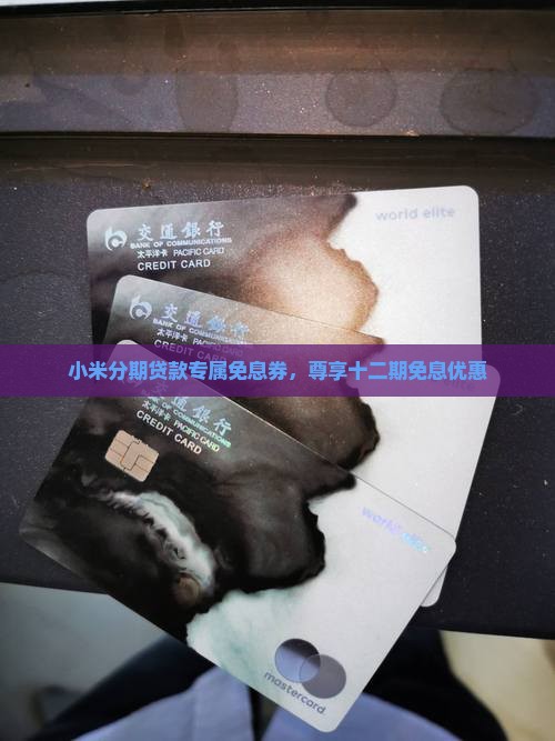 小米贷款十二期免息券