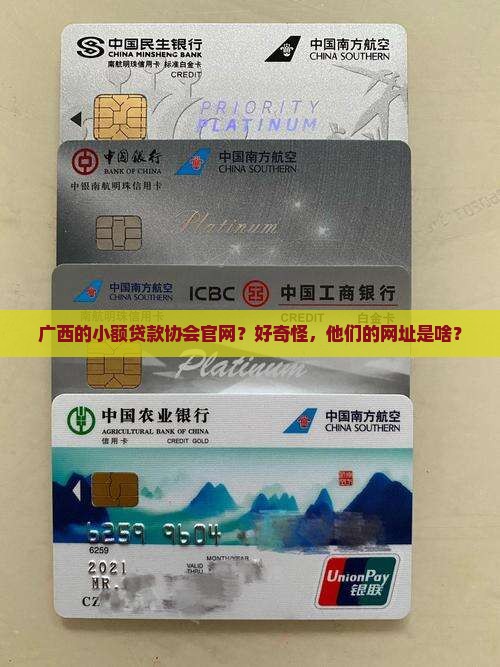 广西小额贷款协会网址
