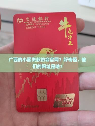 广西小额贷款协会网址