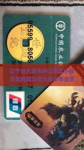 大连小额贷款网