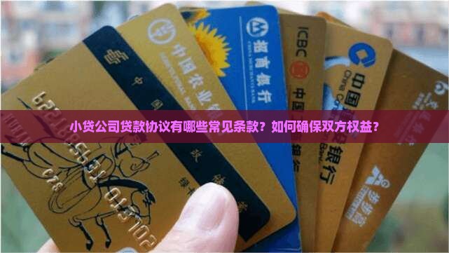 小贷公司贷款协议