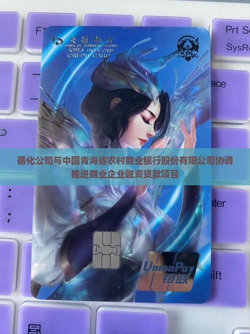 循化公司协调贷款