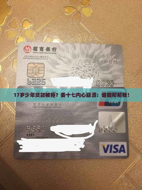 姜十七银行找我家贷款