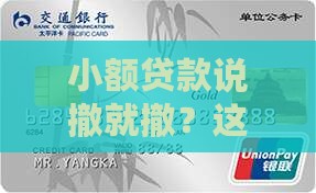 小额贷款撤销