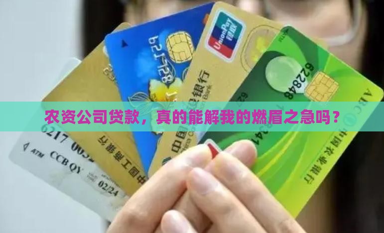 农资公司贷款政策