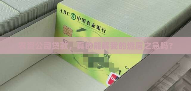 农资公司贷款政策