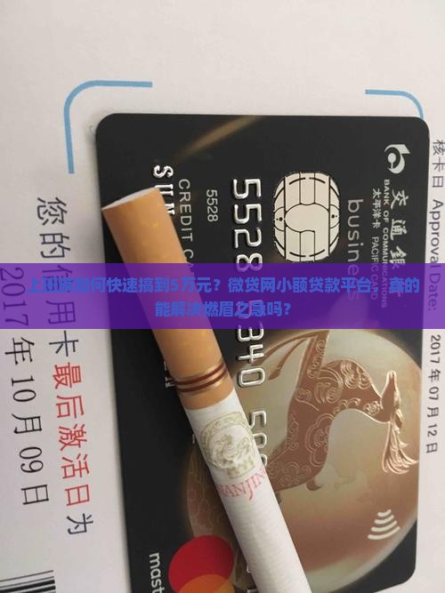 微贷网小额贷款平台