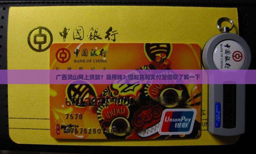 广西灵山网上贷款