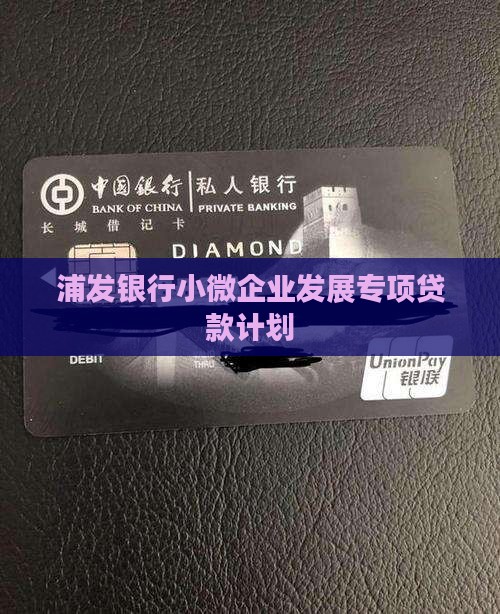 南京浦发银行小微贷款