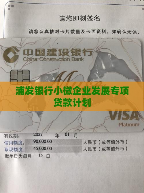 南京浦发银行小微贷款