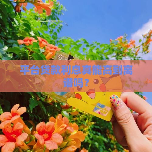 平台贷款利息最高是多少