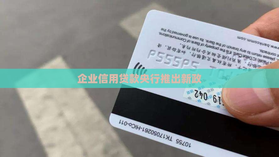 央行企业信用贷款