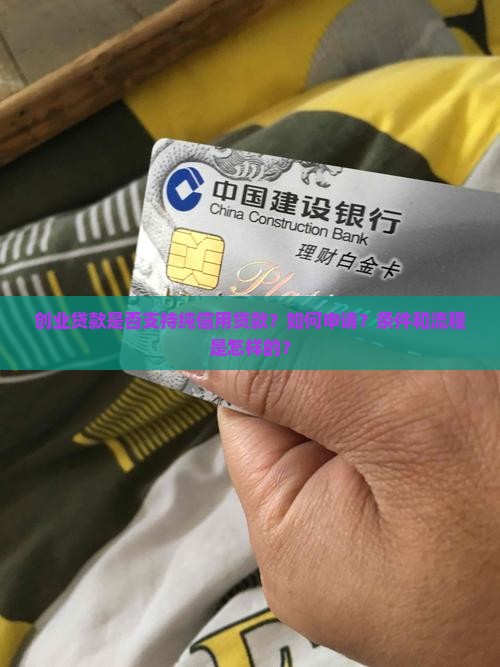 创业贷款可以信用贷款吗