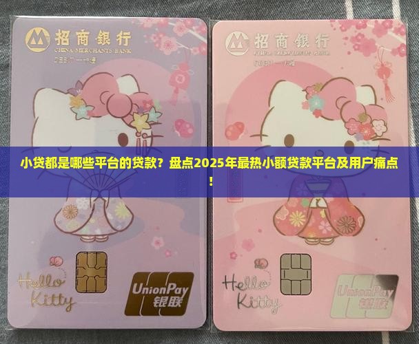 小贷都是哪些平台的贷款