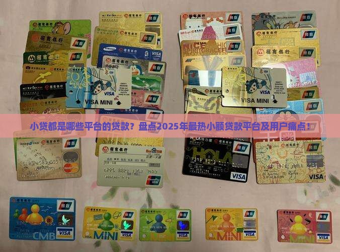 小贷都是哪些平台的贷款