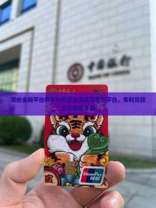 哪些金融平台有专利贷款