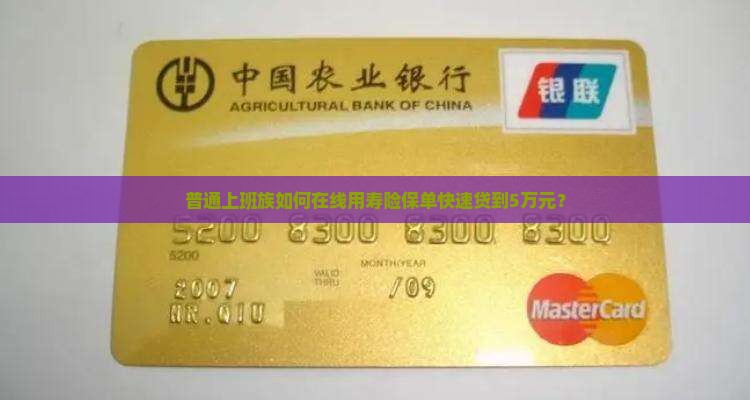寿险保单网上贷款 寿险保单网上贷款
