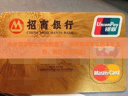 小米贷款怎么不给额度