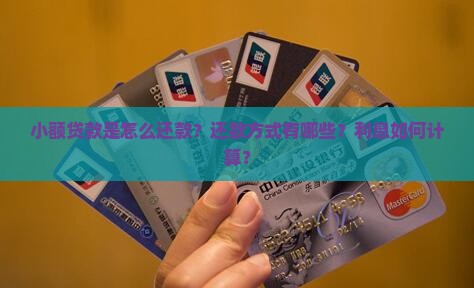小额贷款是怎么还款