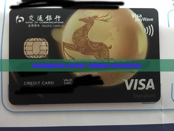嘉善有小额贷款
