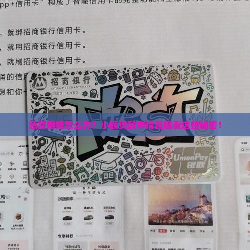 小额贷款申请制度
