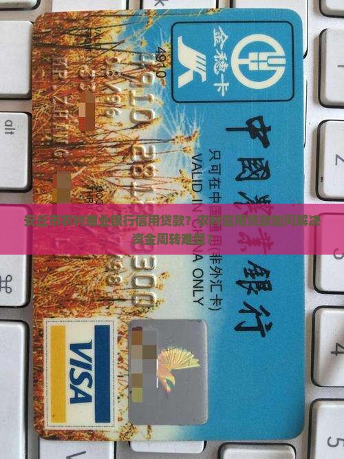 安丘市农村商业银行信用贷款